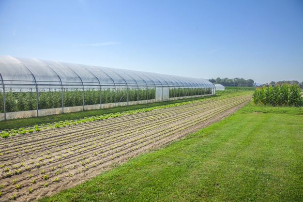 Greenhouse farming in India - Polyhouse farming- Ideal Agro textiles